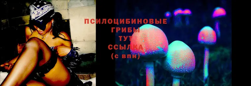 сайты даркнета клад  Елабуга  Галлюциногенные грибы Psilocybine cubensis 